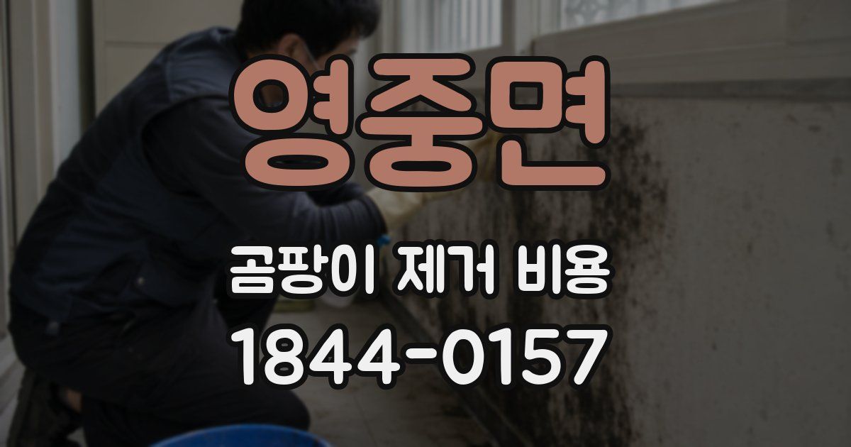 영중면 곰팡이 제거 비용