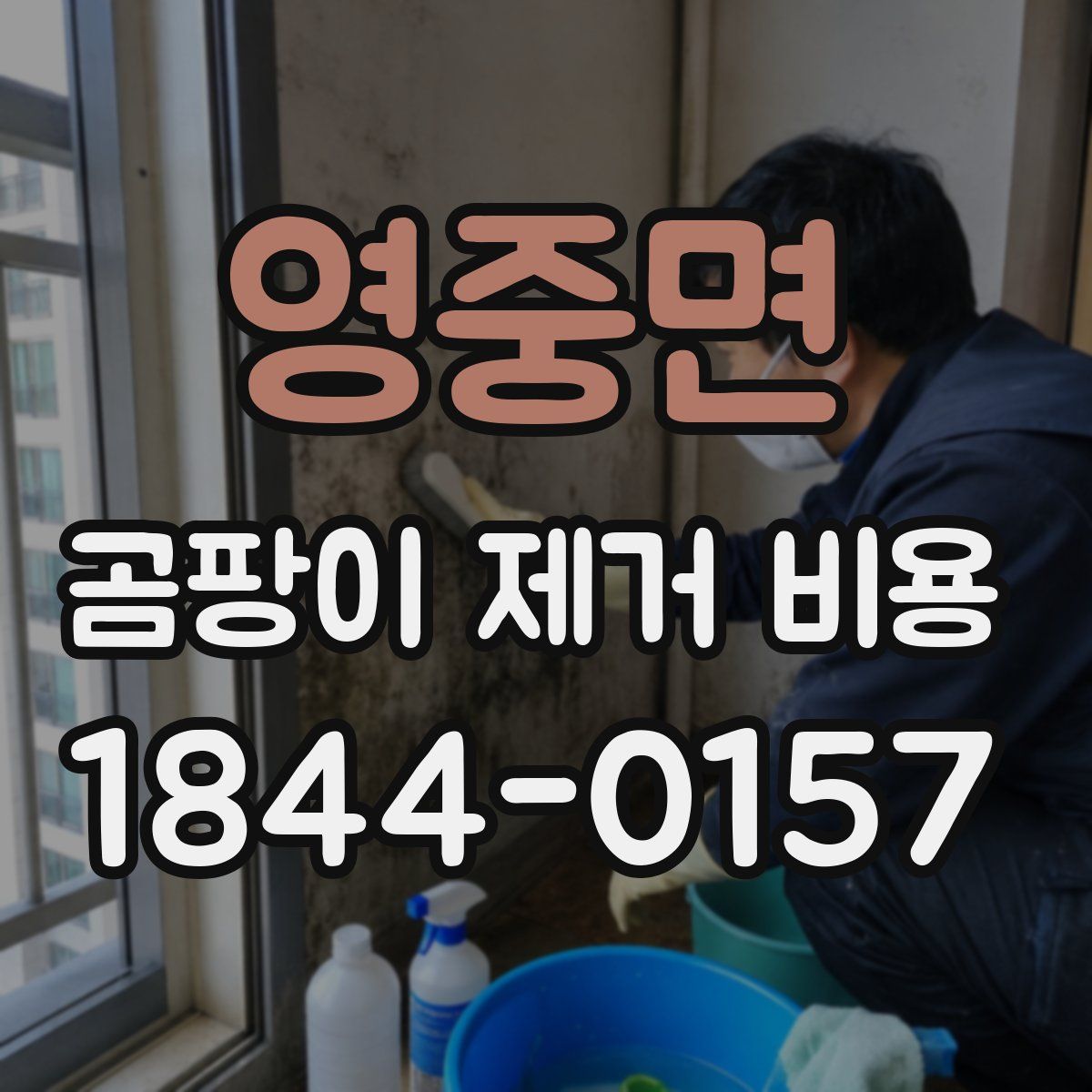 영중면 곰팡이 제거 비용