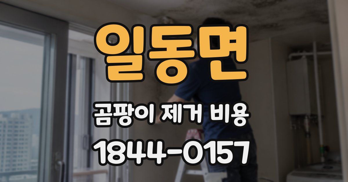 일동면 곰팡이 제거 비용