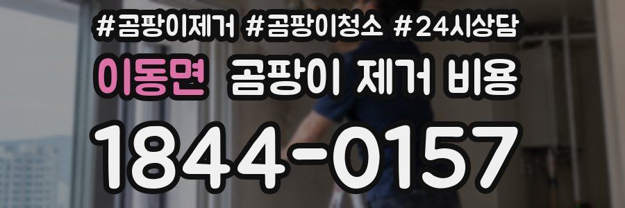 이동면 곰팡이 제거 비용