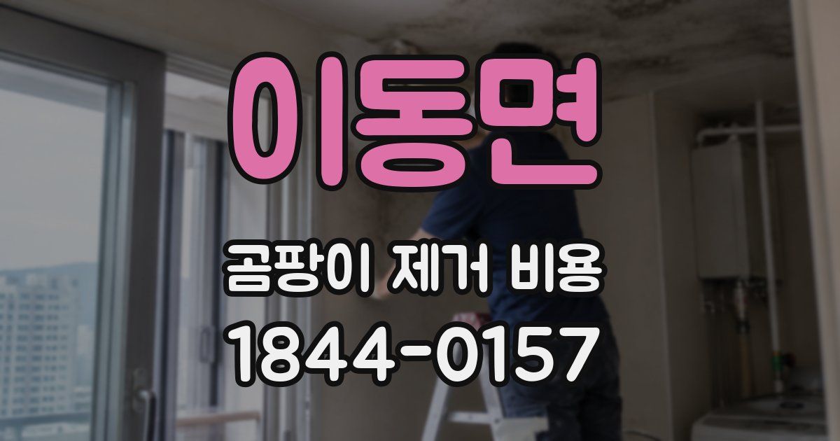 이동면 곰팡이 제거 비용