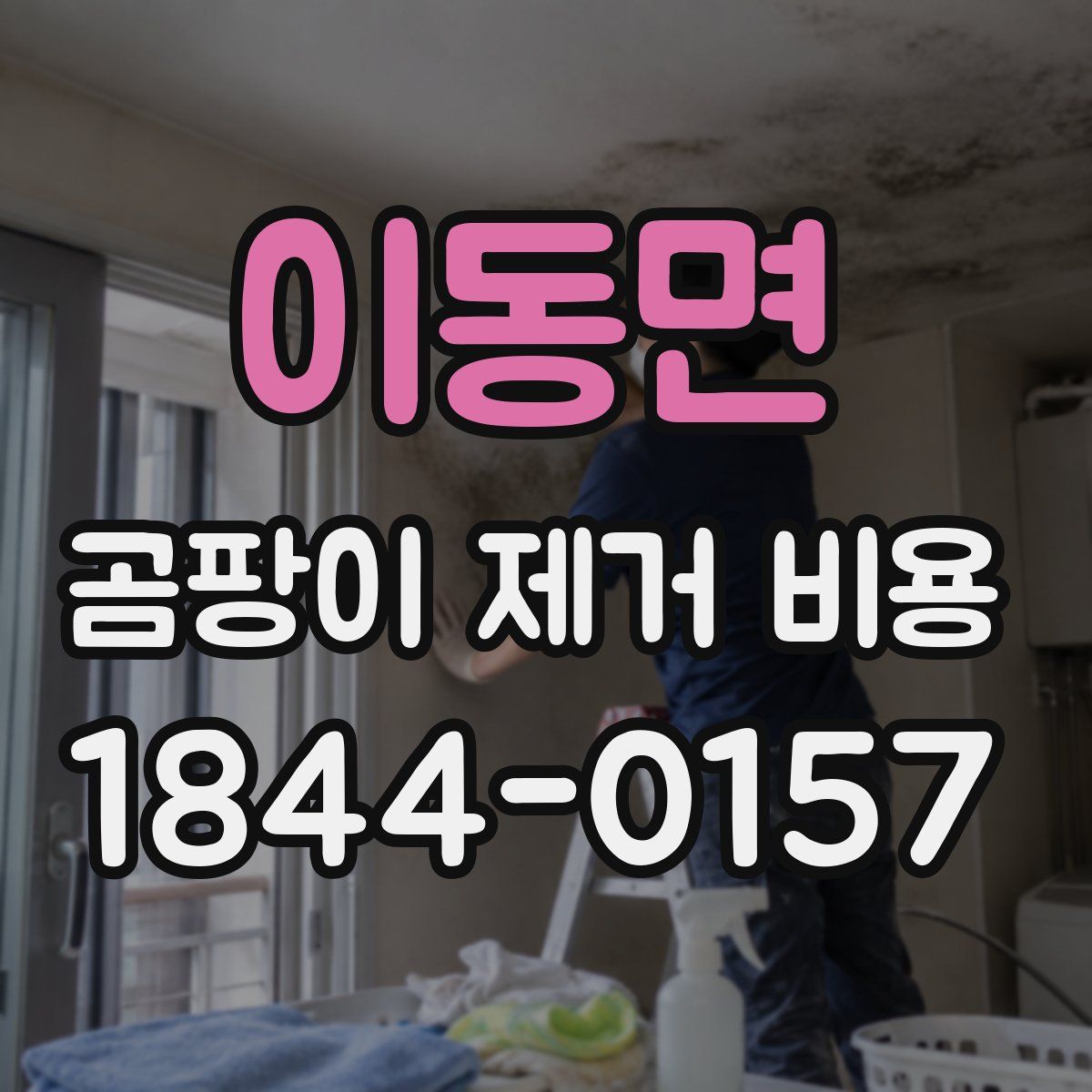 이동면 곰팡이 제거 비용