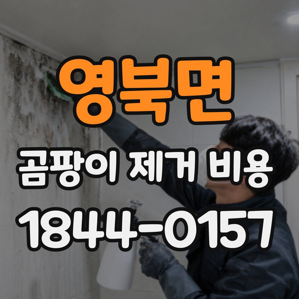 영북면 곰팡이 제거 비용