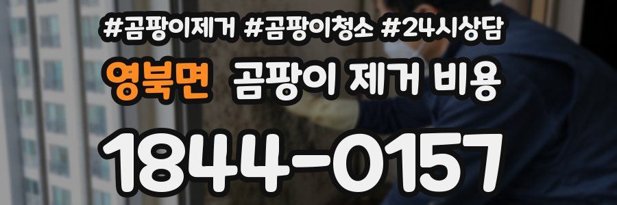 영북면 곰팡이 제거 비용