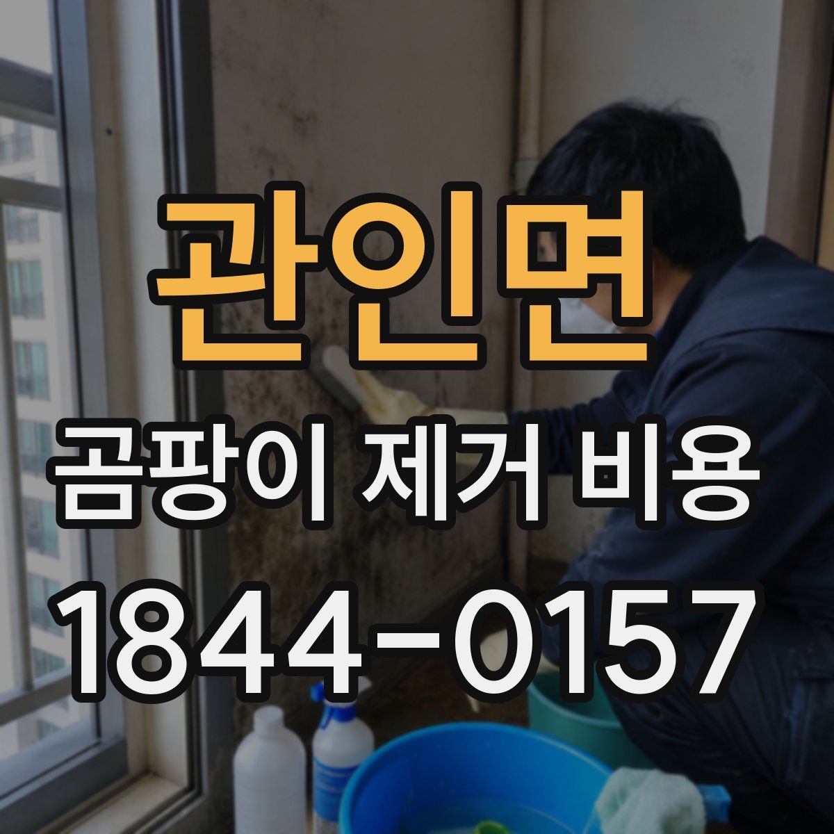 관인면 곰팡이 제거 비용