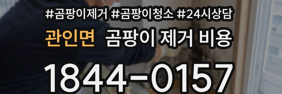 관인면 곰팡이 제거 비용