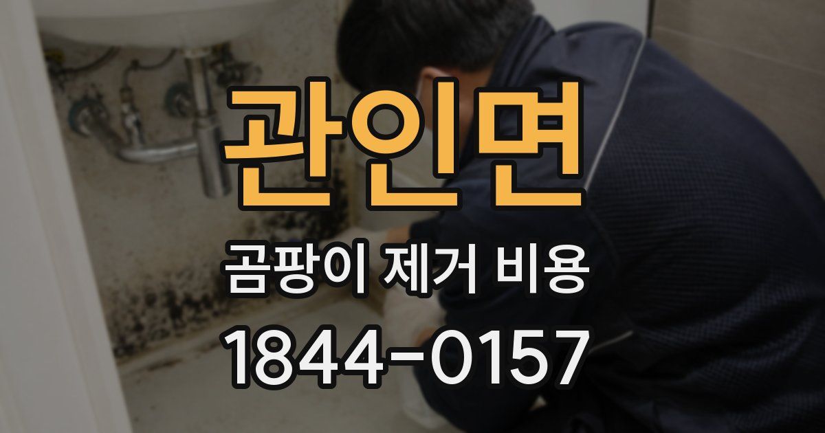 관인면 곰팡이 제거 비용