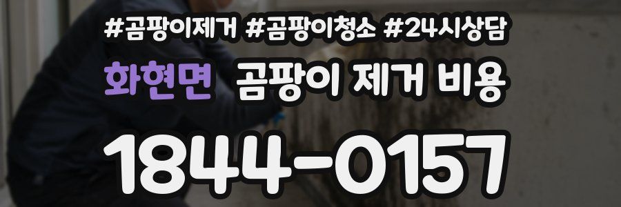 화현면 곰팡이 제거 비용