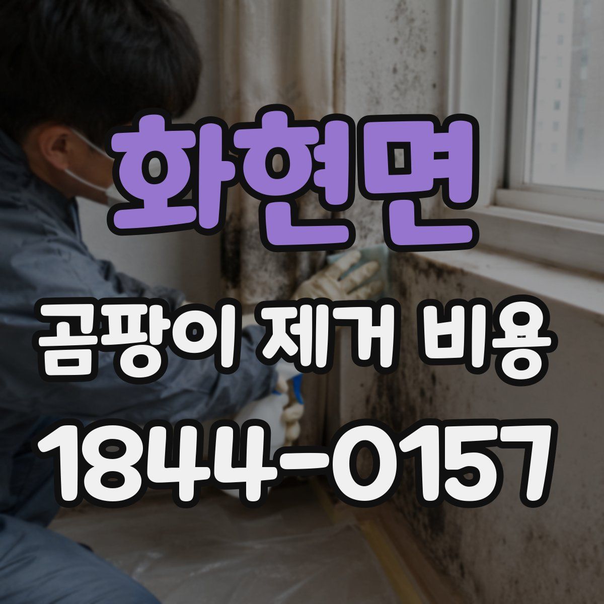 화현면 곰팡이 제거 비용