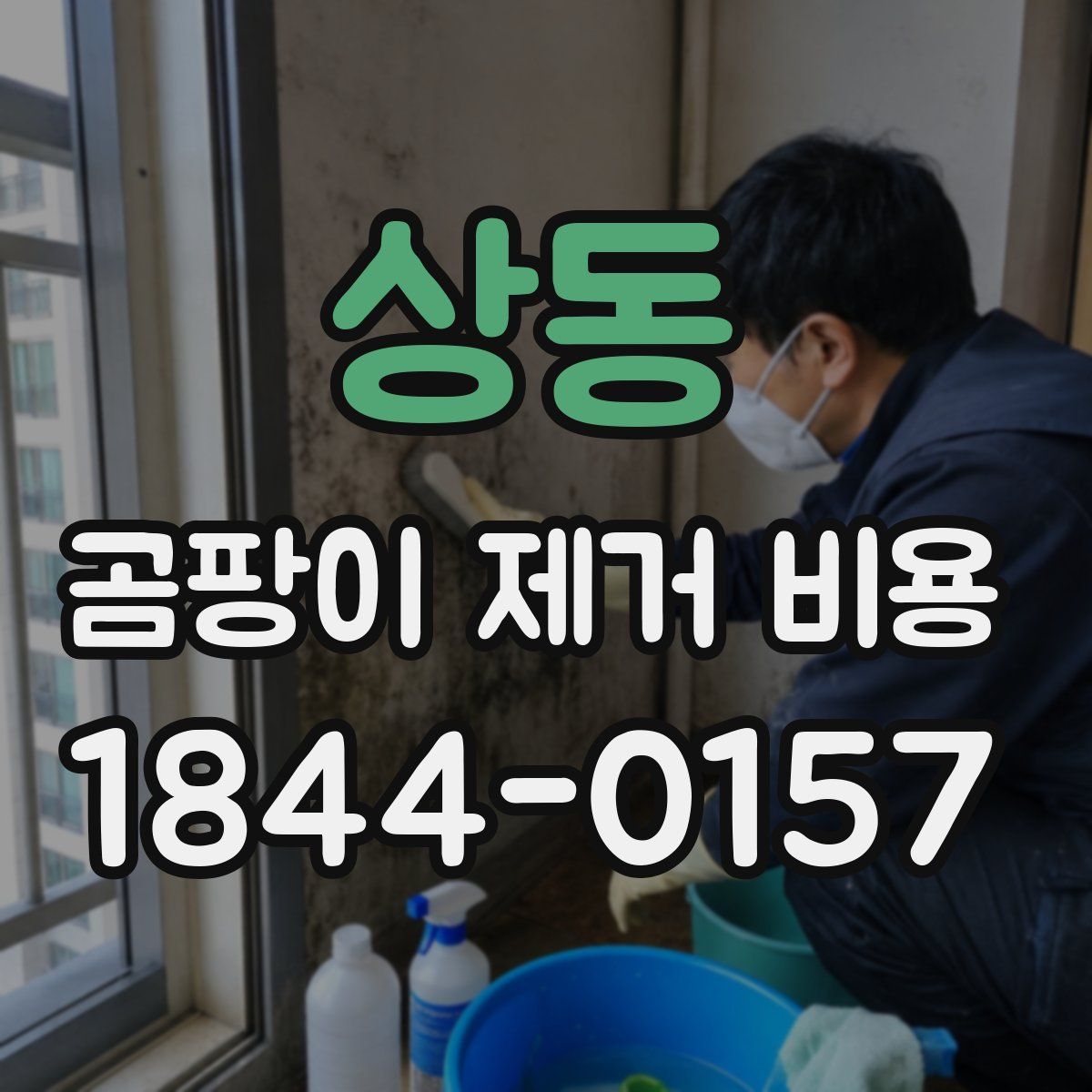 상동 곰팡이 제거 비용