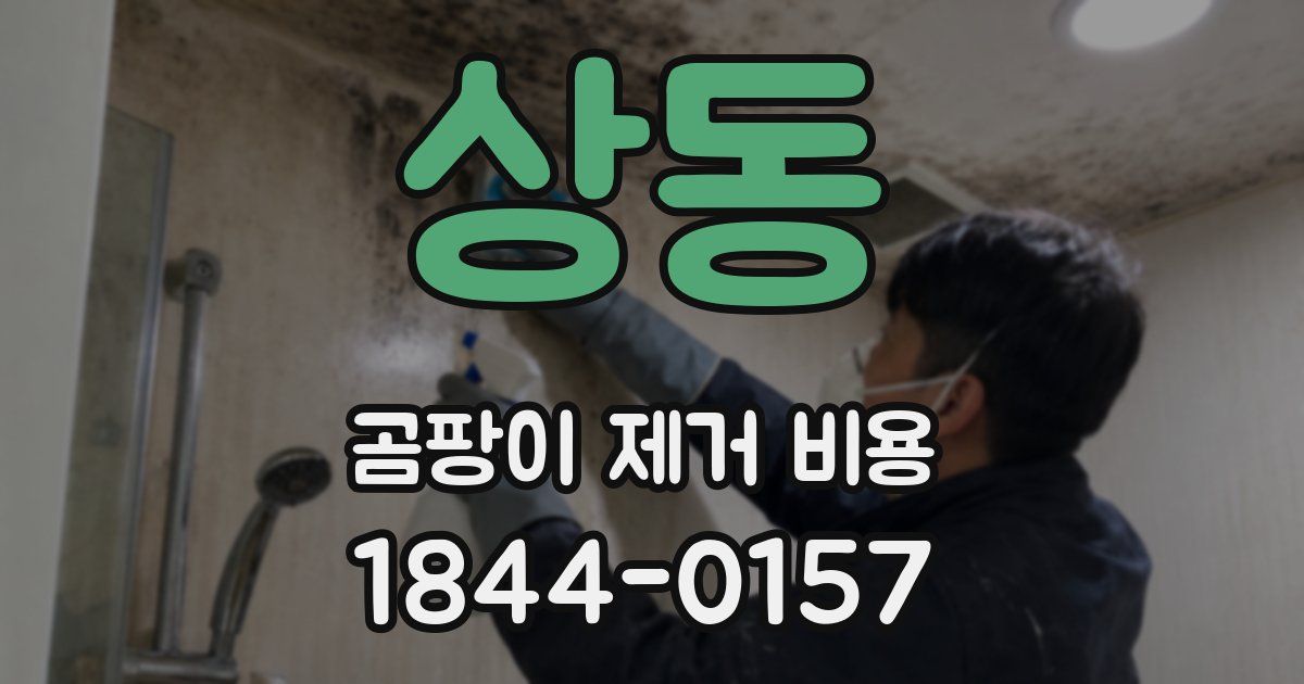 상동 곰팡이 제거 비용
