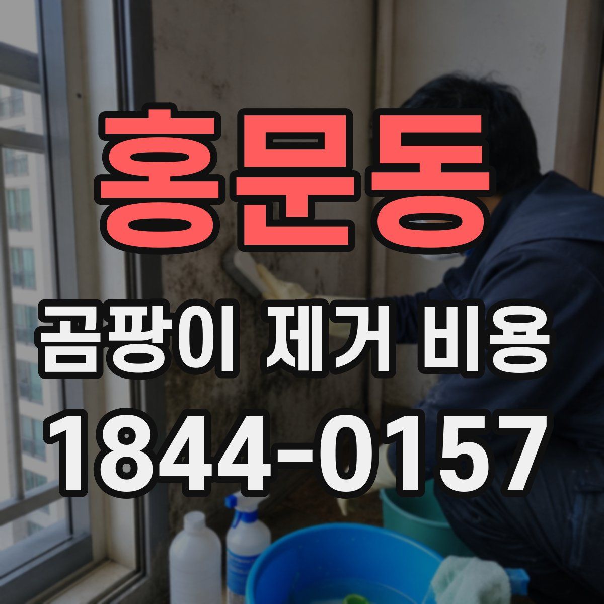 홍문동 곰팡이 제거 비용