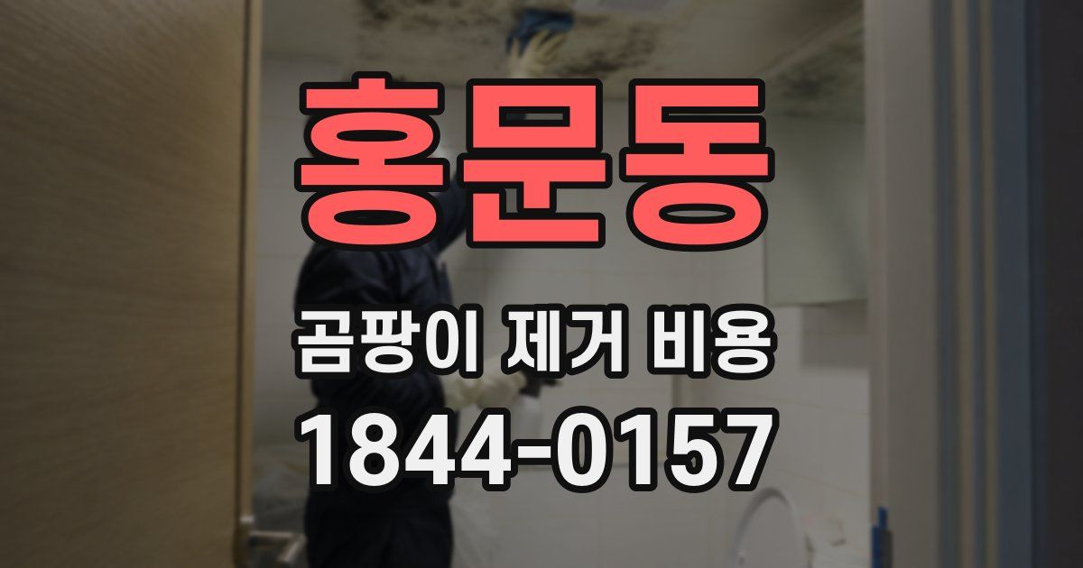 홍문동 곰팡이 제거 비용