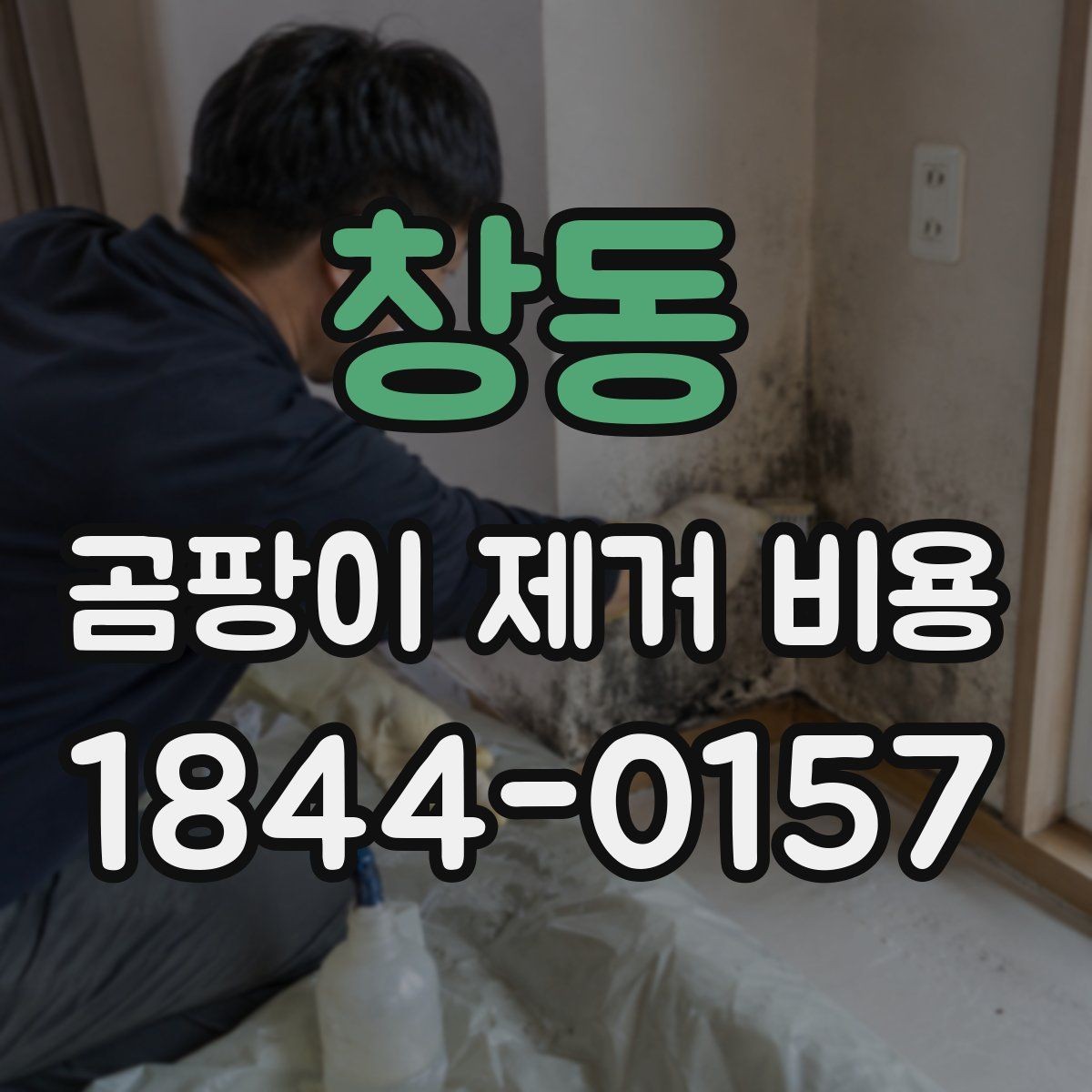 창동 곰팡이 제거 비용 단열 보수까지 포함되는 사례 살펴보기