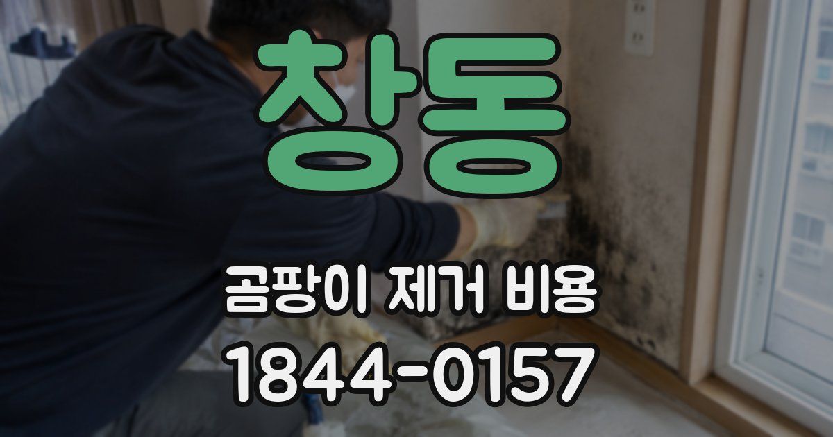 창동 곰팡이 제거 비용