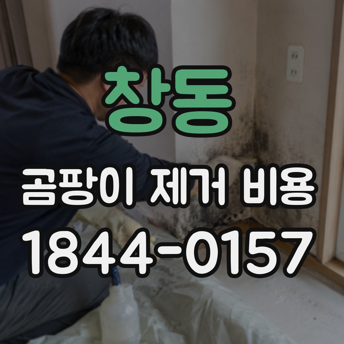 창동 곰팡이 제거 비용
