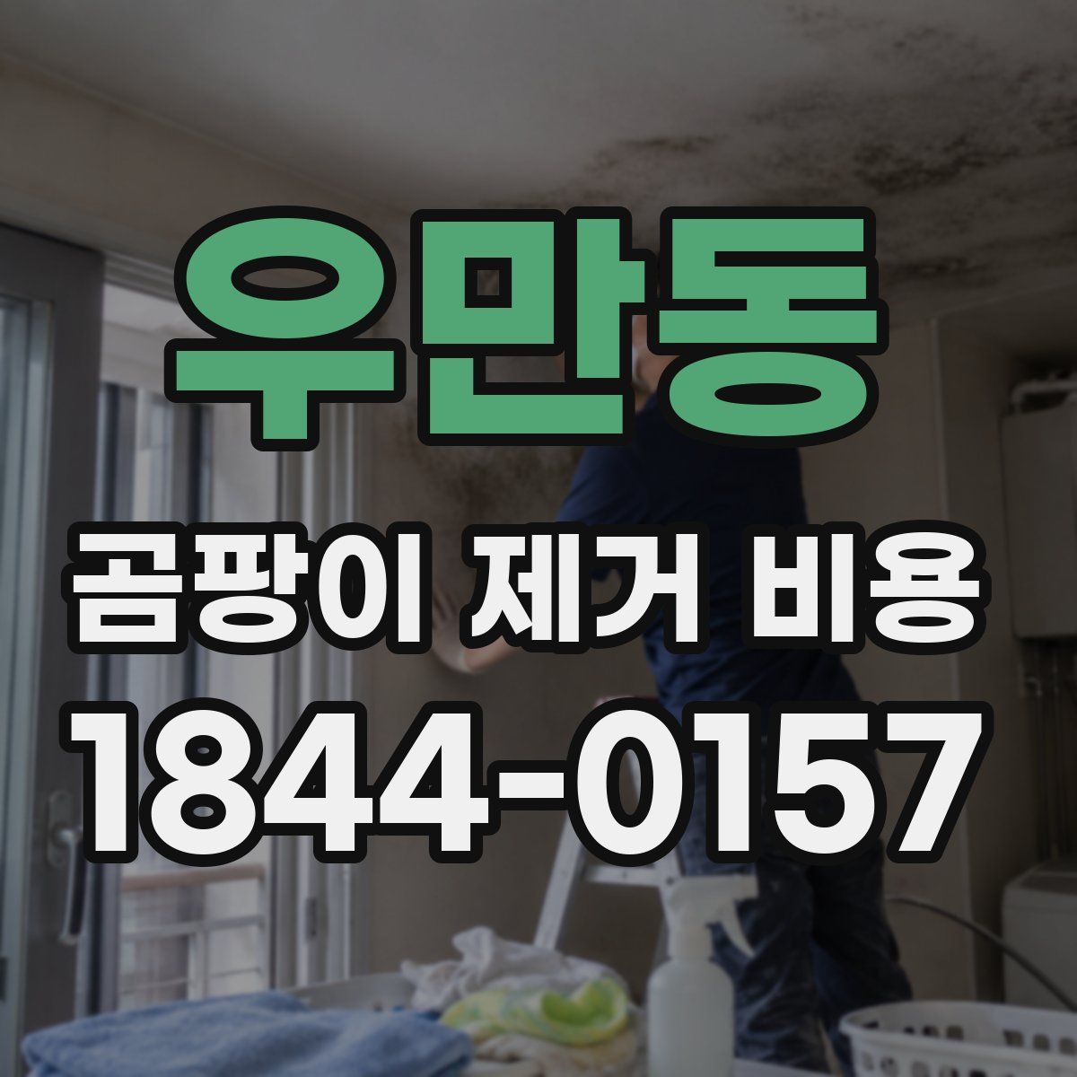우만동 곰팡이 제거 비용