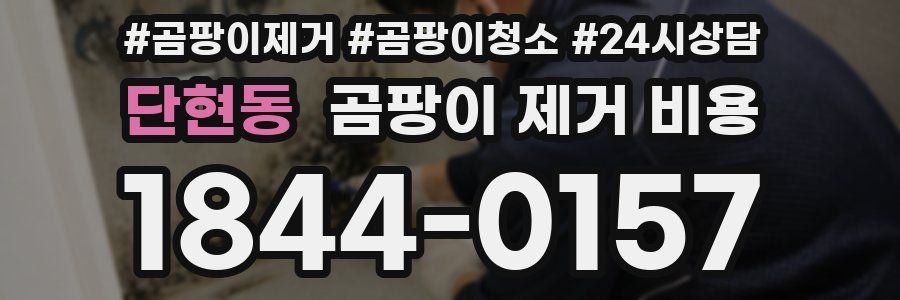 단현동 곰팡이 제거 비용
