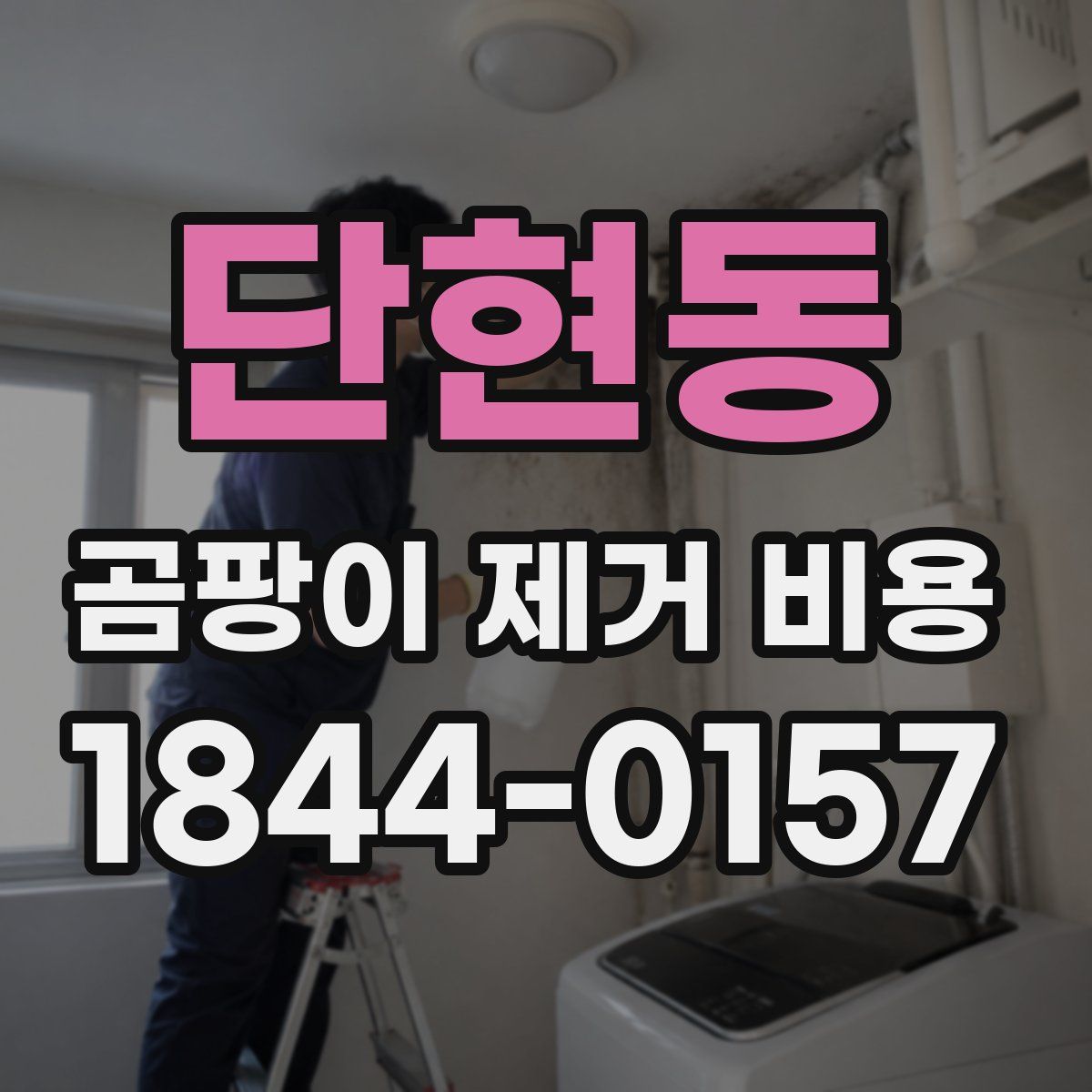 단현동 곰팡이 제거 비용