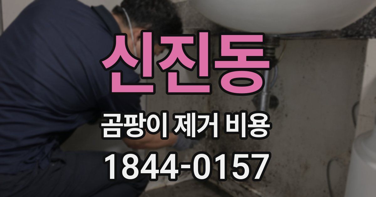 신진동 곰팡이 제거 비용