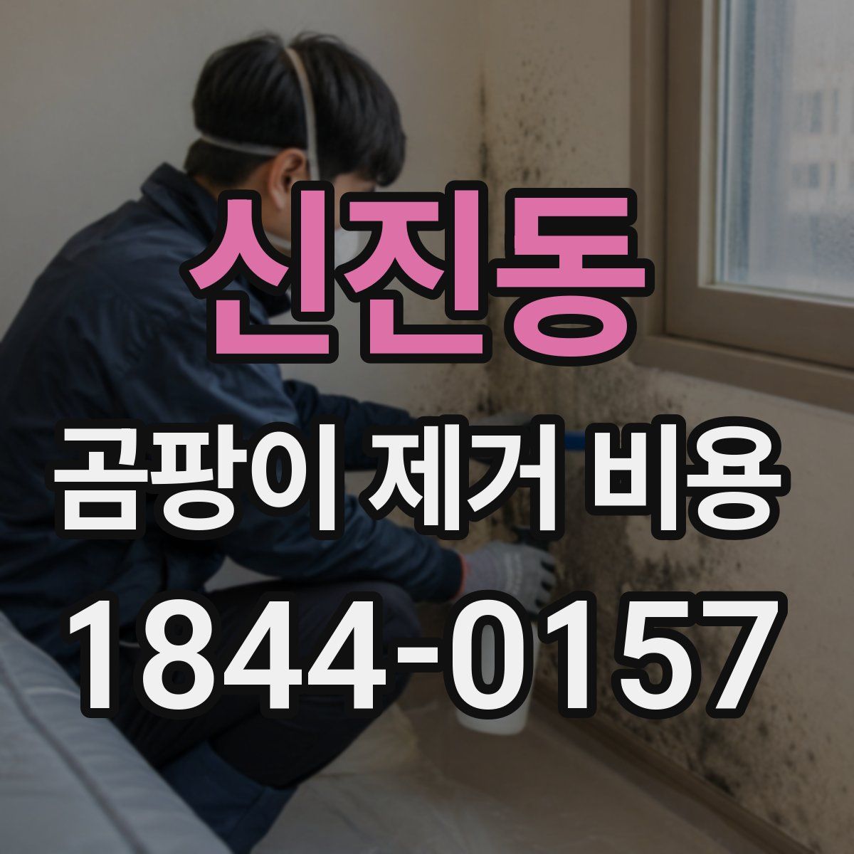 신진동 곰팡이 제거 비용