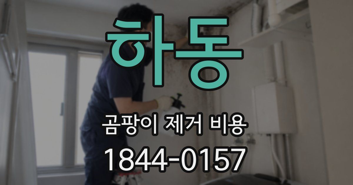하동 곰팡이 제거 비용
