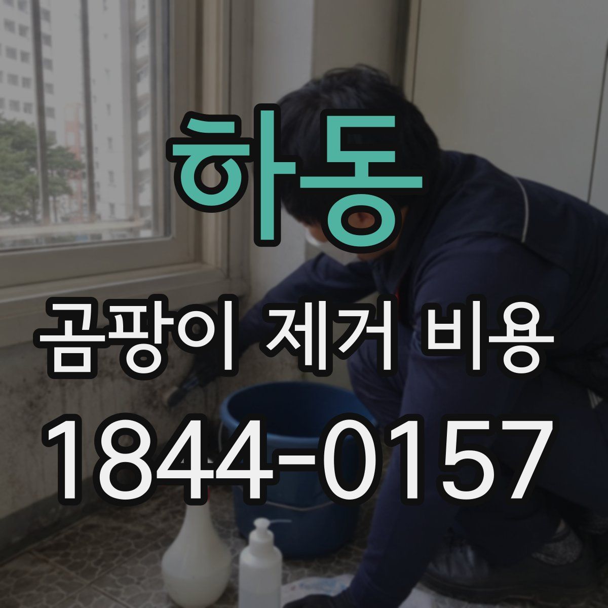 하동 곰팡이 제거 비용