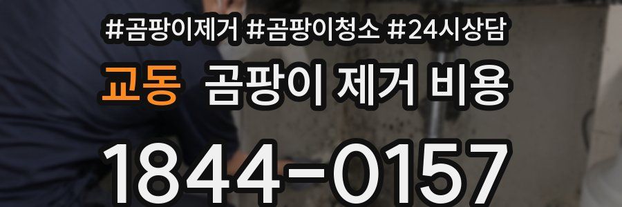 교동 곰팡이 제거 비용