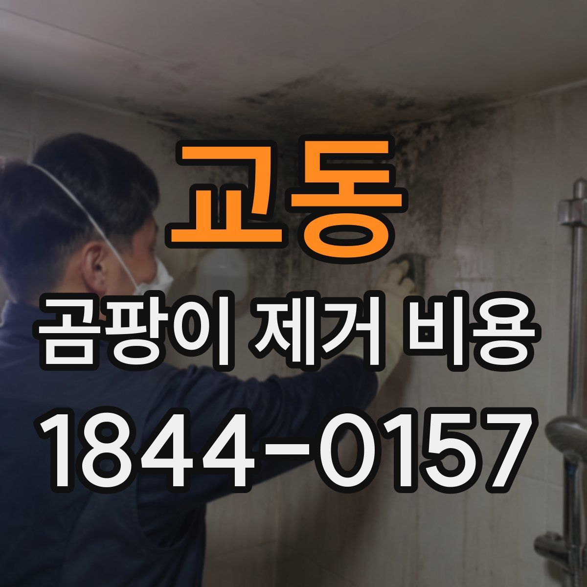 교동 곰팡이 제거 비용