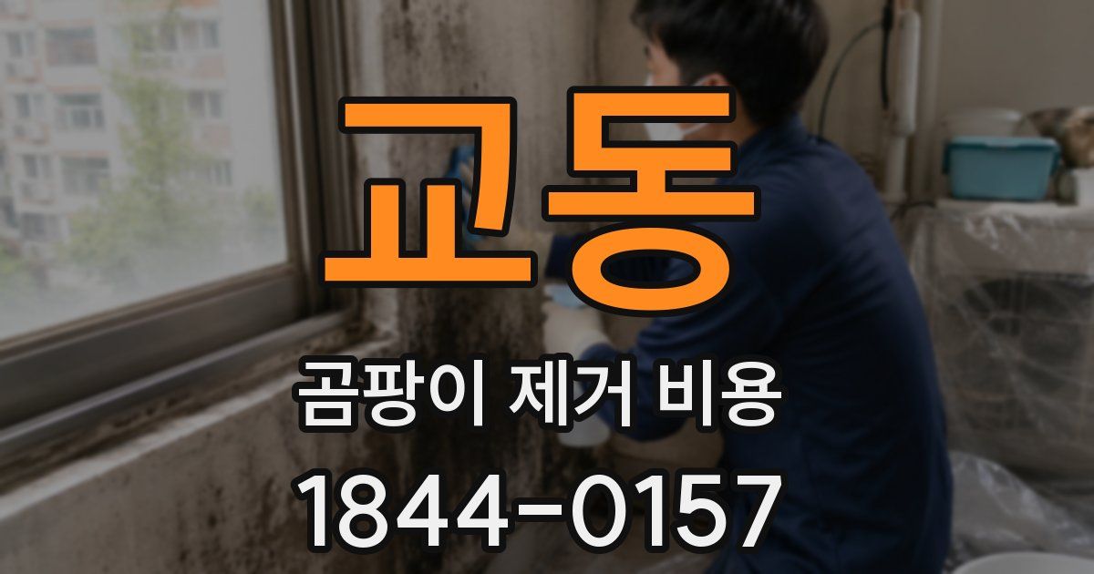 교동 곰팡이 제거 비용