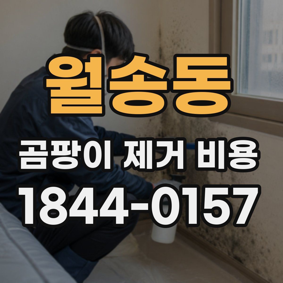 월송동 곰팡이 제거 비용