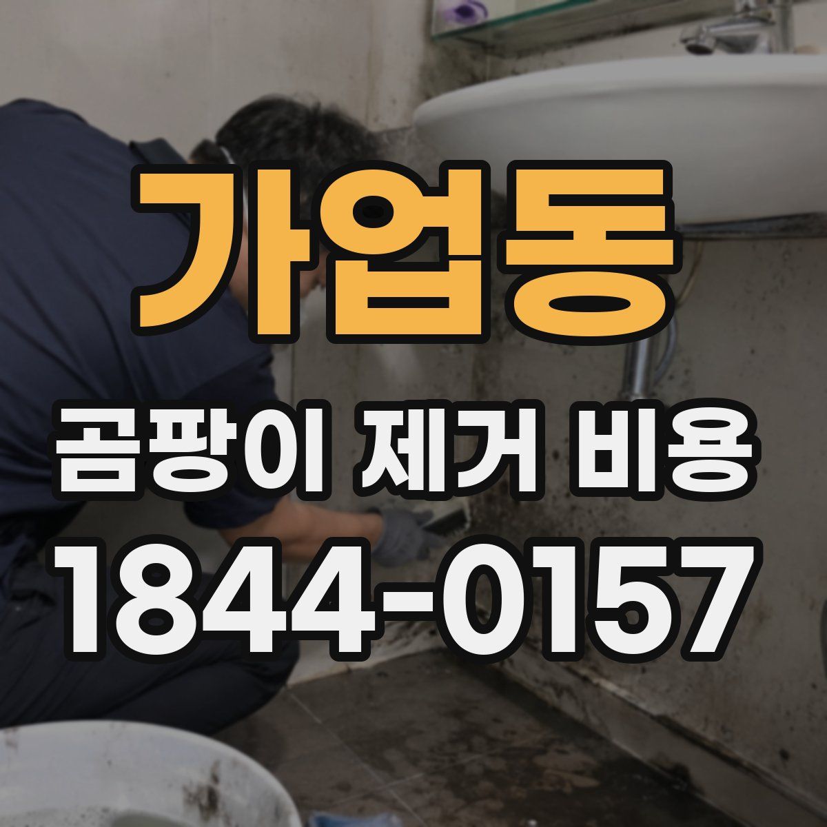 가업동 곰팡이 제거 비용
