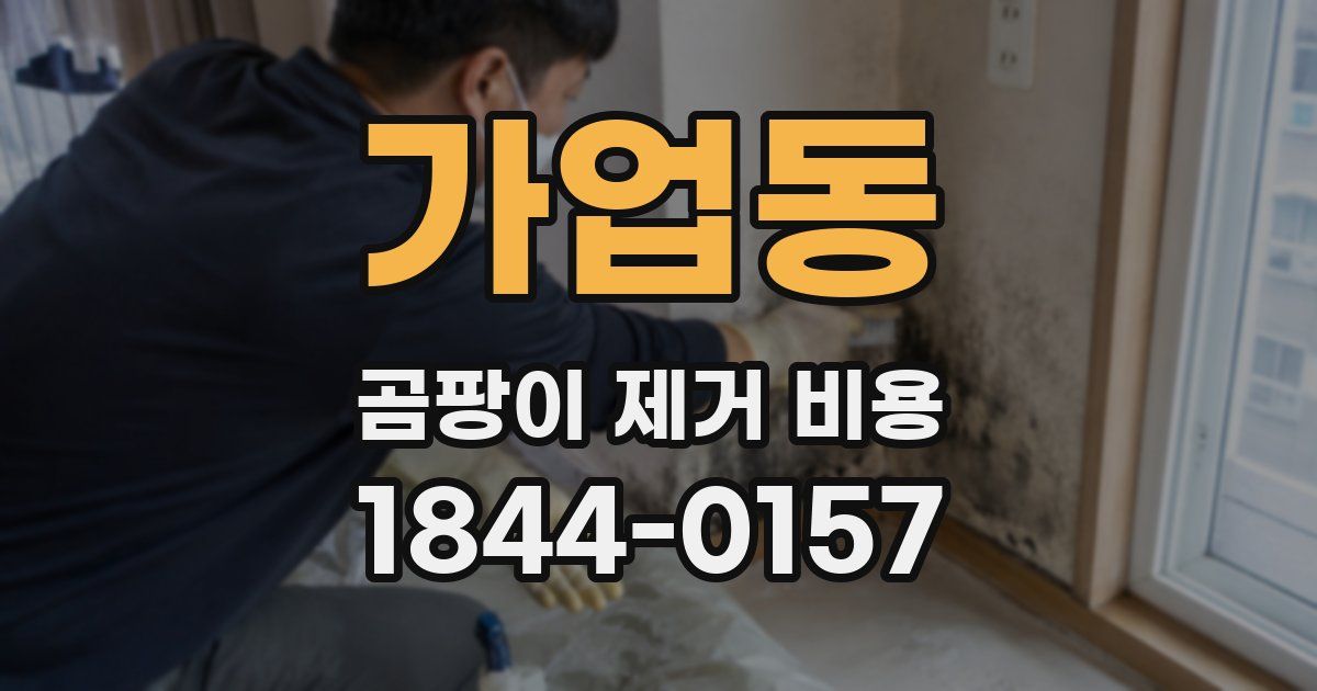 가업동 곰팡이 제거 비용