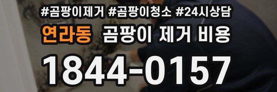 연라동 곰팡이 제거 비용