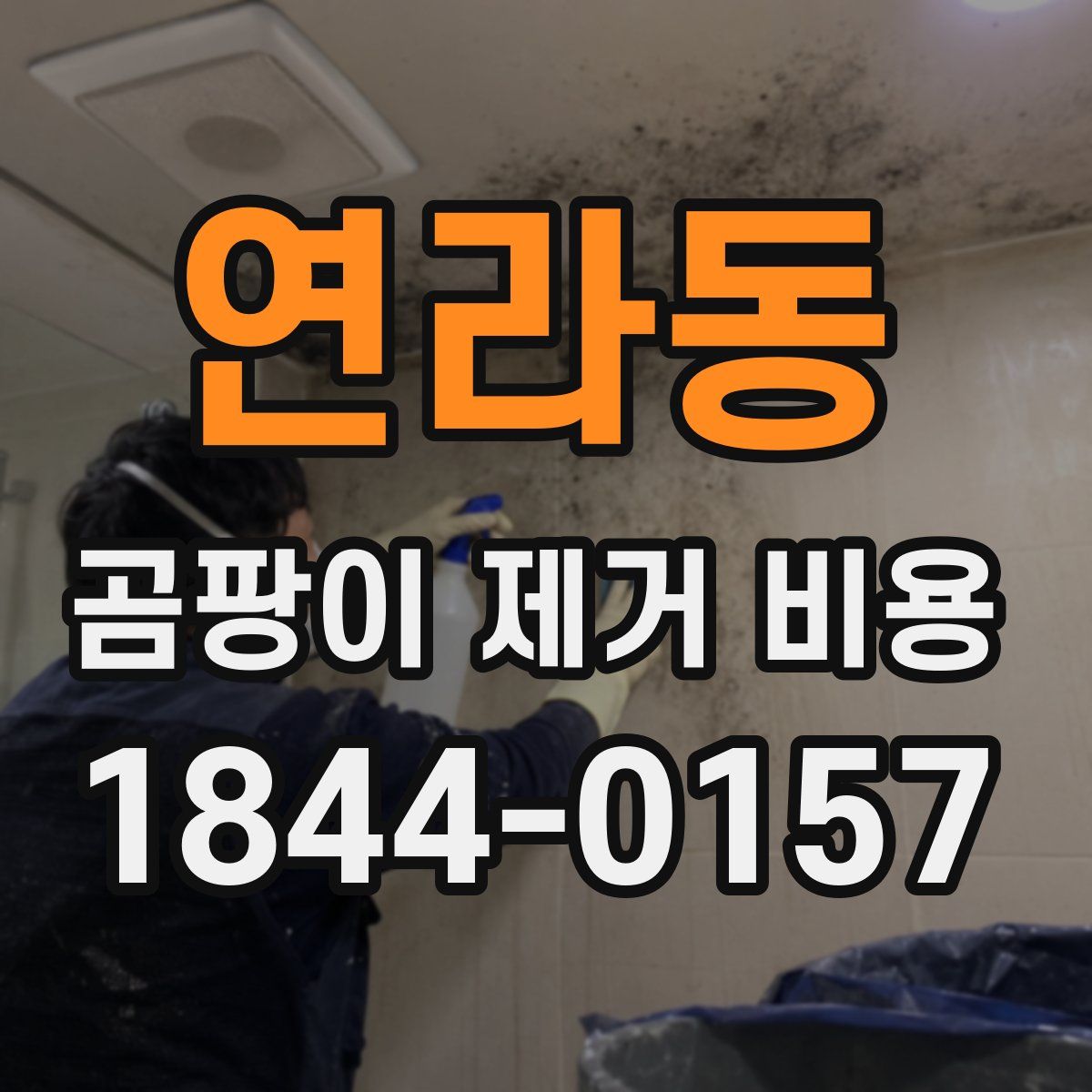 연라동 곰팡이 제거 비용