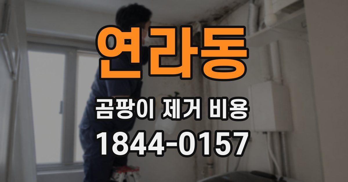 연라동 곰팡이 제거 비용