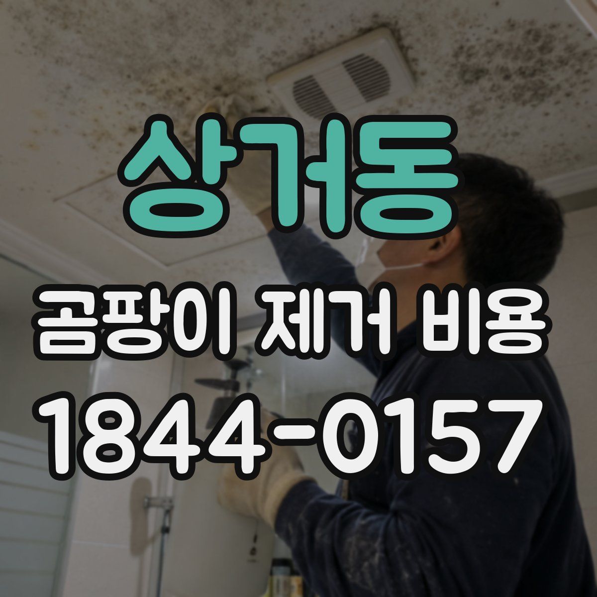 상거동 곰팡이 제거 비용
