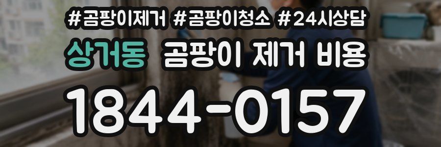 상거동 곰팡이 제거 비용