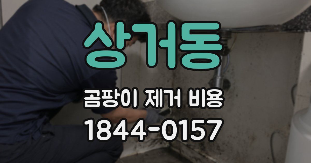 상거동 곰팡이 제거 비용