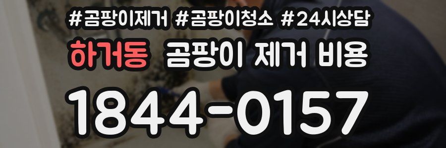하거동 곰팡이 제거 비용