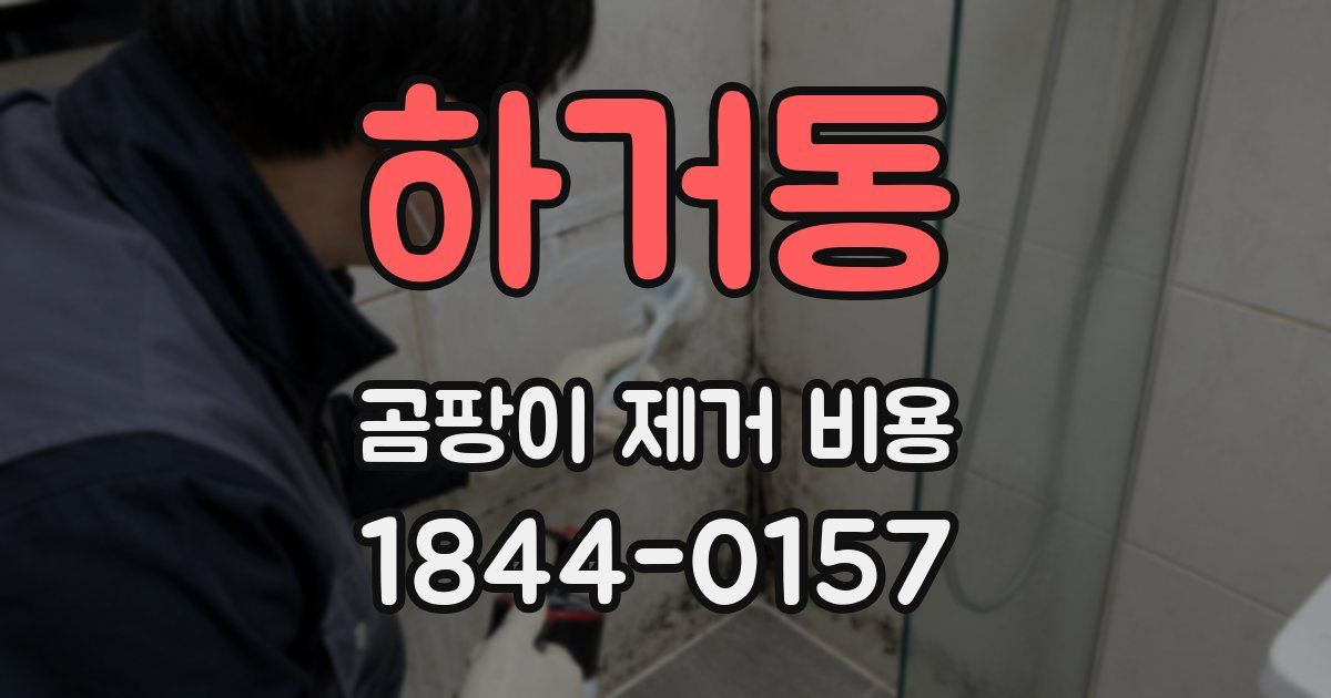 하거동 곰팡이 제거 비용