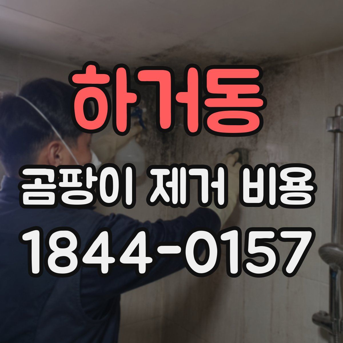 하거동 곰팡이 제거 비용