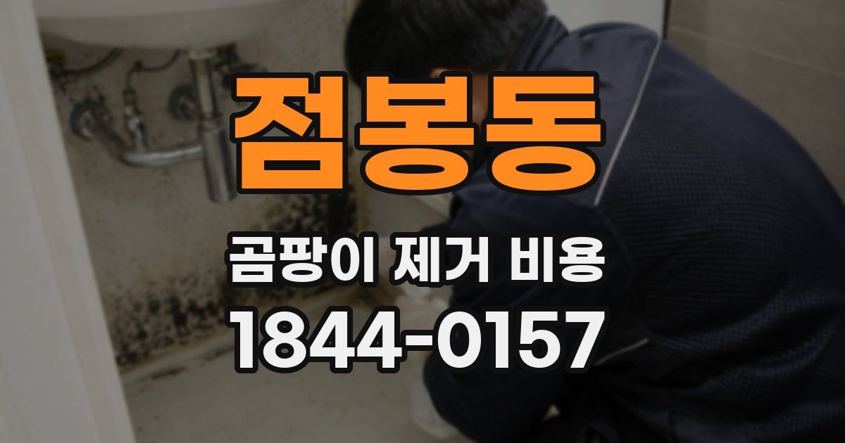 점봉동 곰팡이 제거 비용