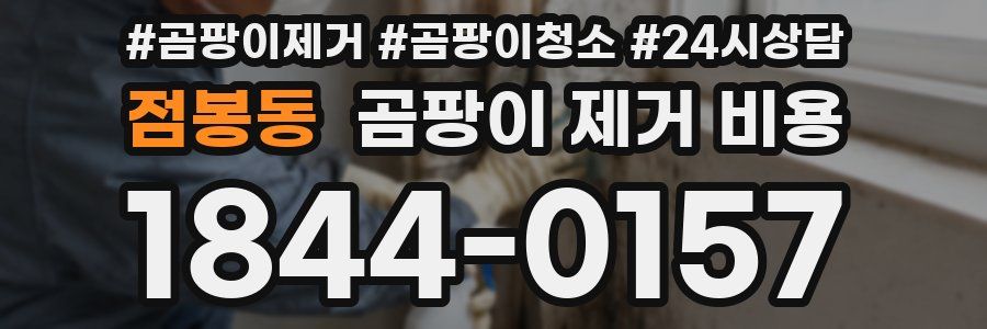 점봉동 곰팡이 제거 비용