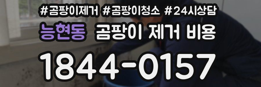 능현동 곰팡이 제거 비용