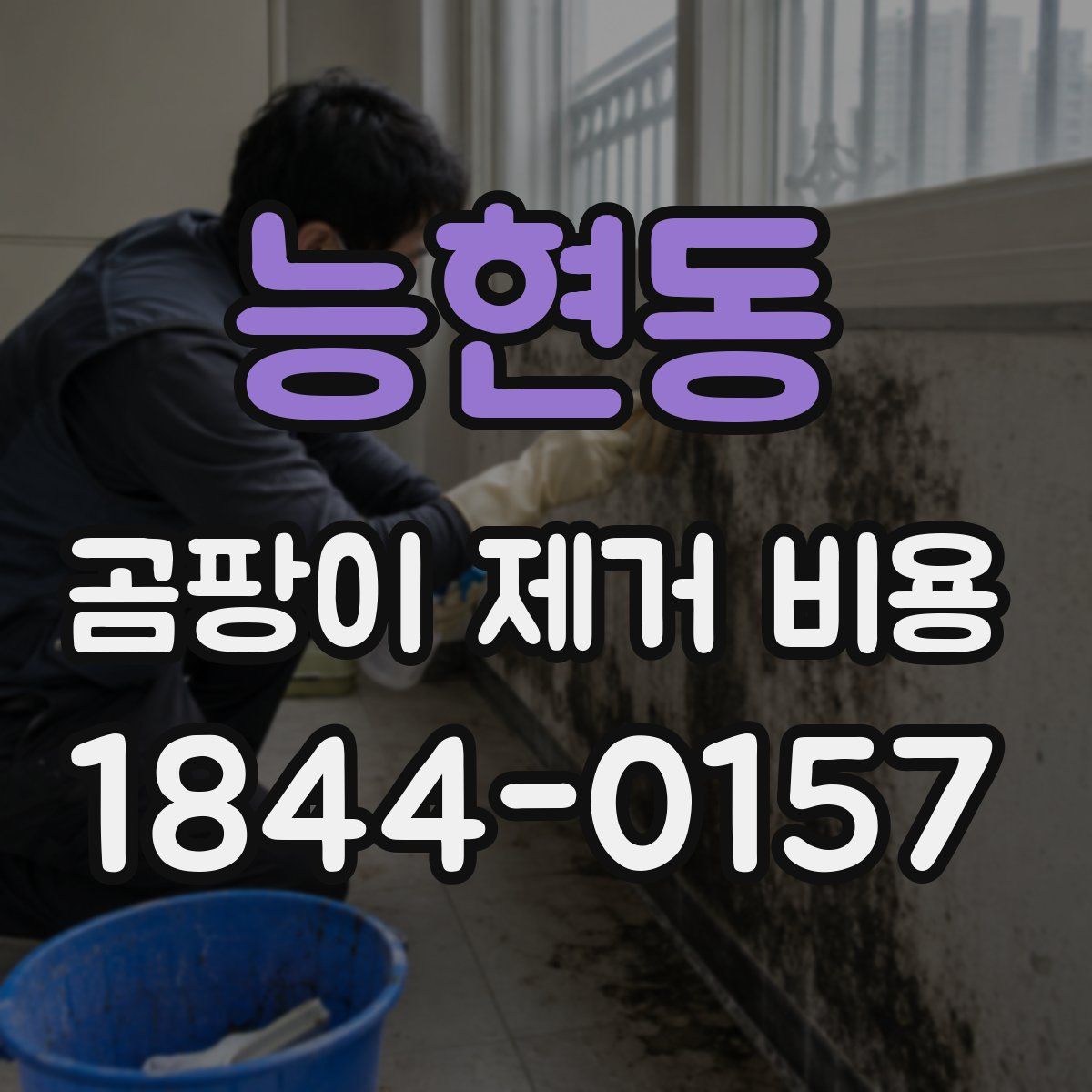 능현동 곰팡이 제거 비용