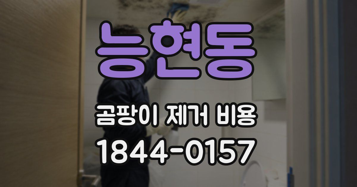 능현동 곰팡이 제거 비용