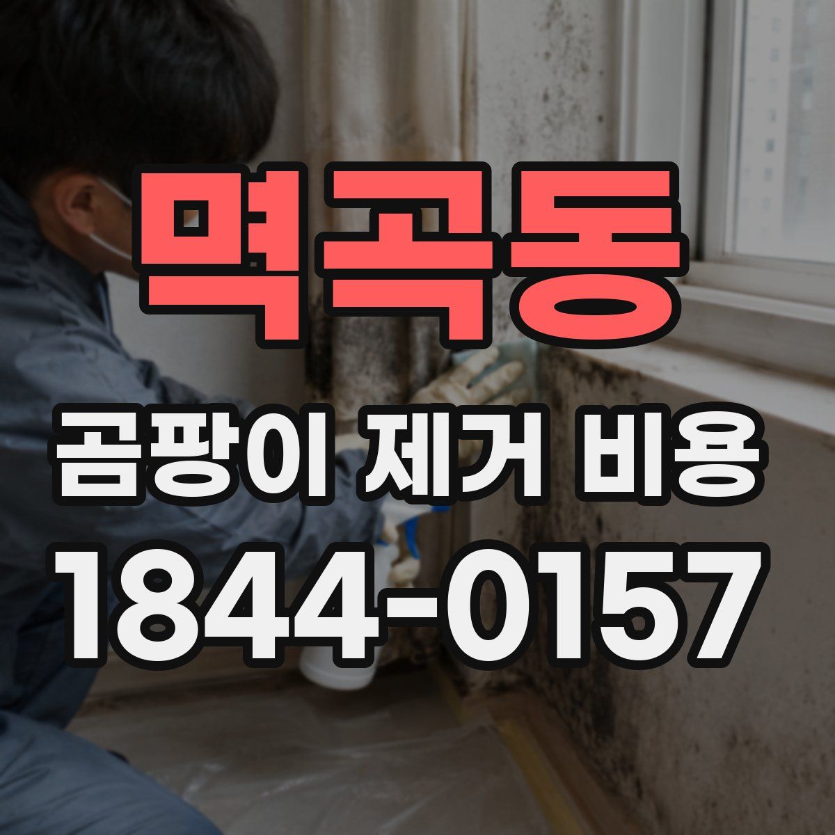 멱곡동 곰팡이 제거 비용