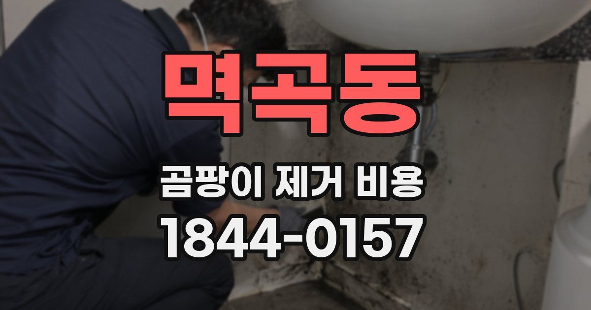 멱곡동 곰팡이 제거 비용