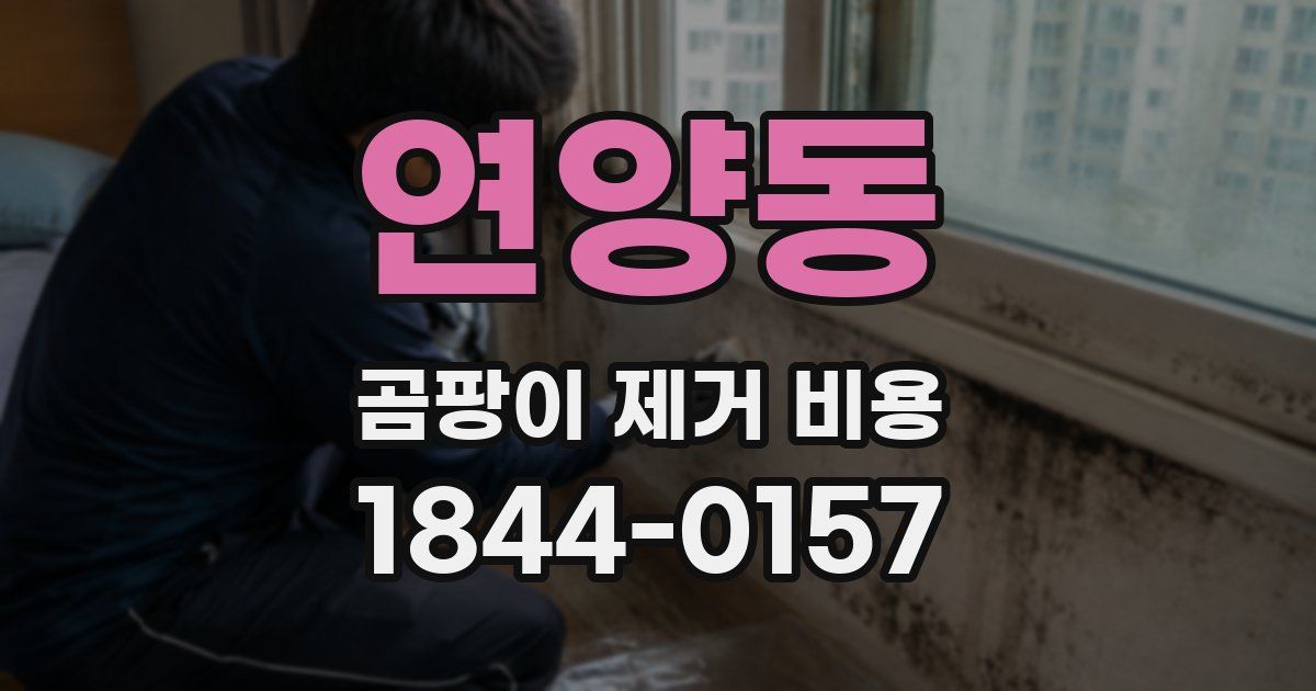 연양동 곰팡이 제거 비용